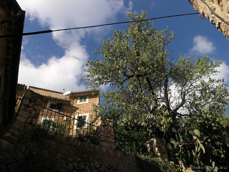 2006_11_19 13_47_50 OLYMPUS DIGITAL CAMERA         